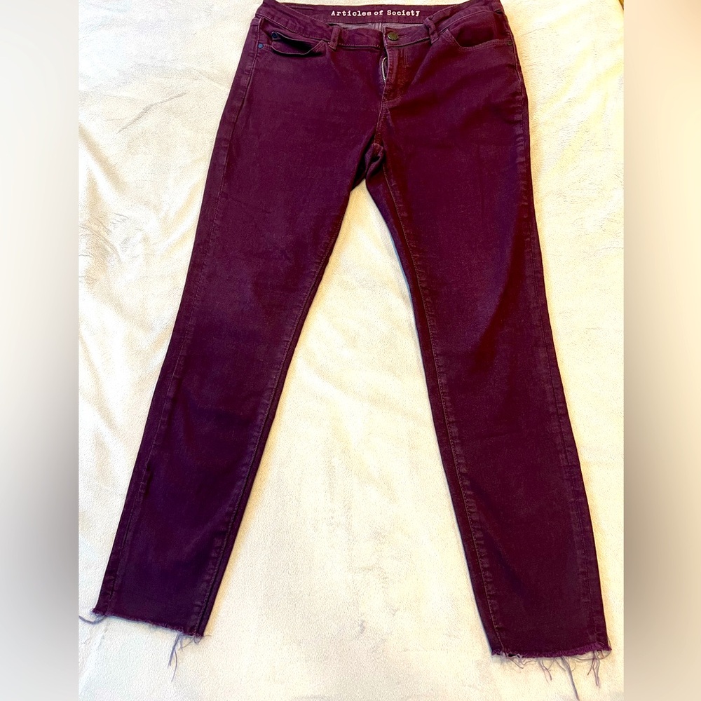 Articles of Society Low Rise Skinny Pants - Burgundy
